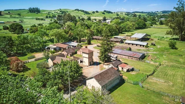 a view of a yard with plants and trees
