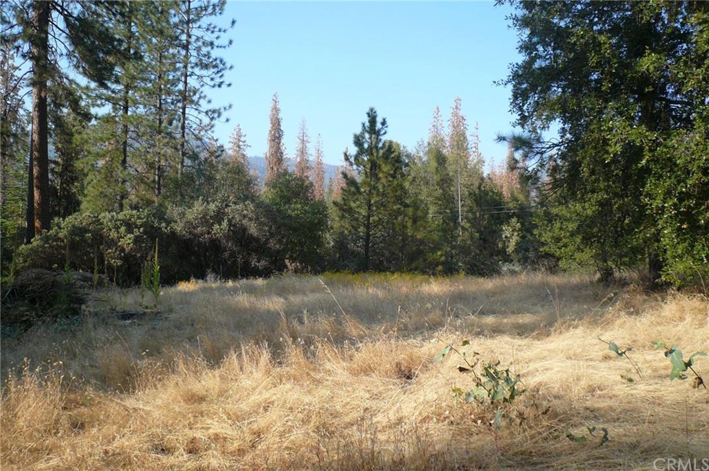 5658 Pilot Peak Road Mariposa, CA 95338 - Photo 1 of 1 Gallery Image 1