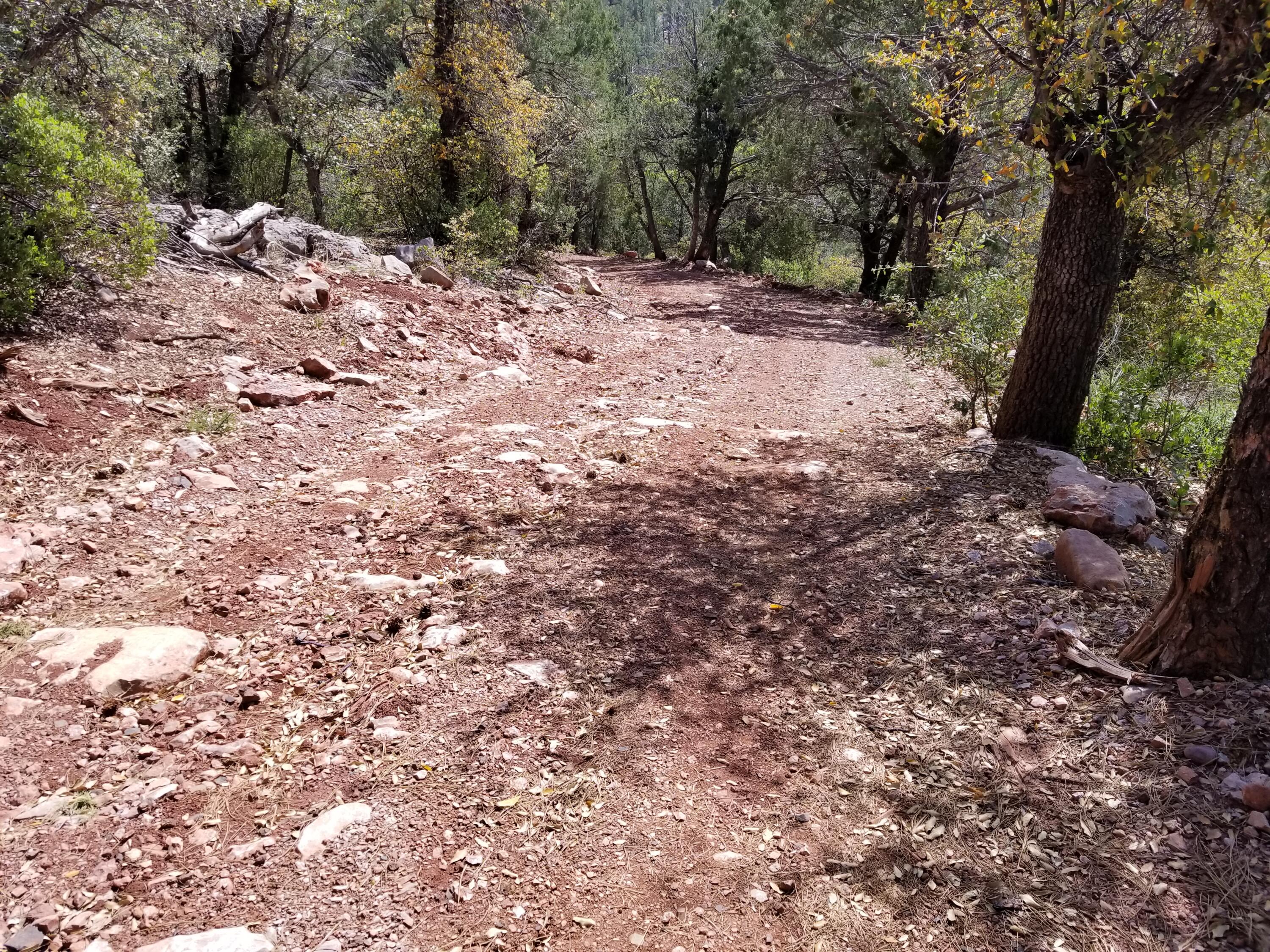17033 Control Road Payson, AZ 85541 - Photo 9 of 28