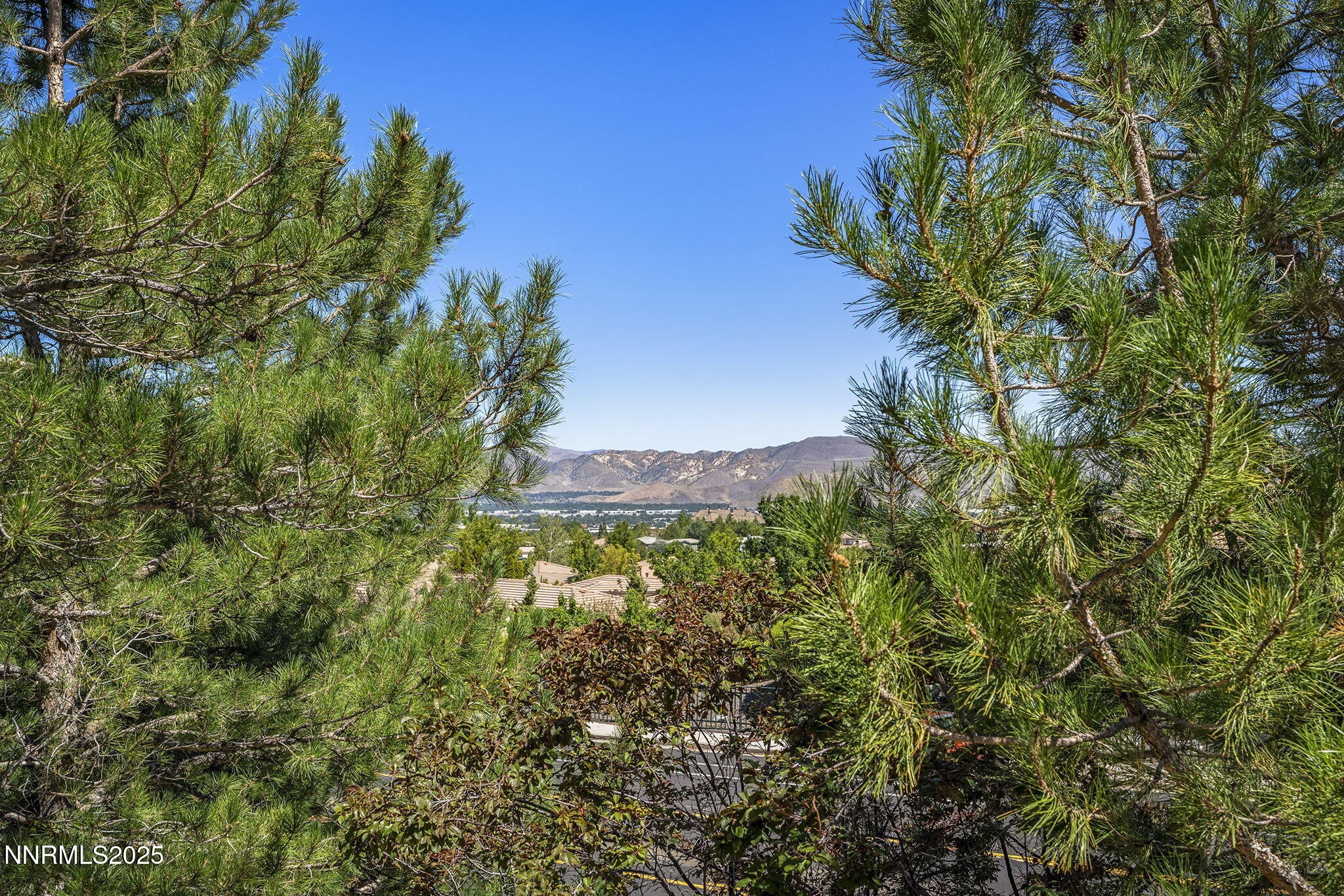 3601 Skyline Boulevard, Unit 34 Reno, NV 89509 - Photo 18 of 26 a view of a garden with a tree