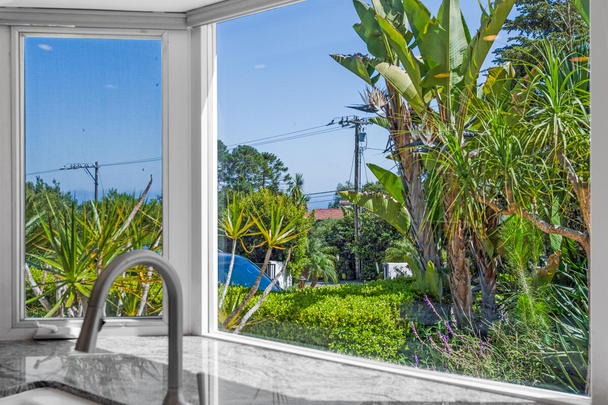 1020 Alston Road Montecito, CA 93108 - Photo 32 of 35 a view of a potted plant with a plant in front of it