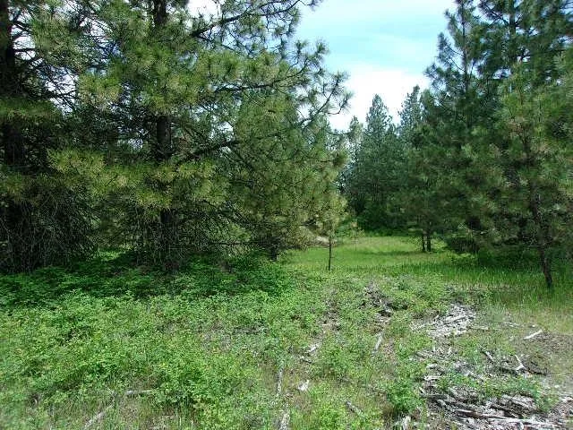 $299,000 | Xxxo Hoag Road, Valley, WA 99181