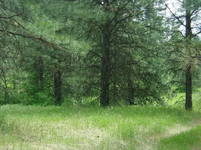 $299,000 | Xxxo Hoag Road, Valley, WA 99181