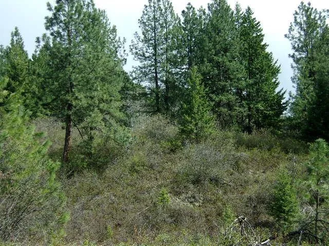 $299,000 | Xxxo Hoag Road, Valley, WA 99181