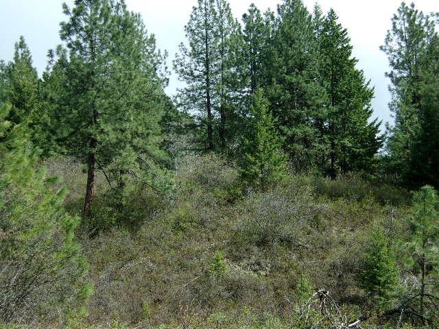 Xxxo Hoag Road Valley, WA 99181 - Photo 13 of 33