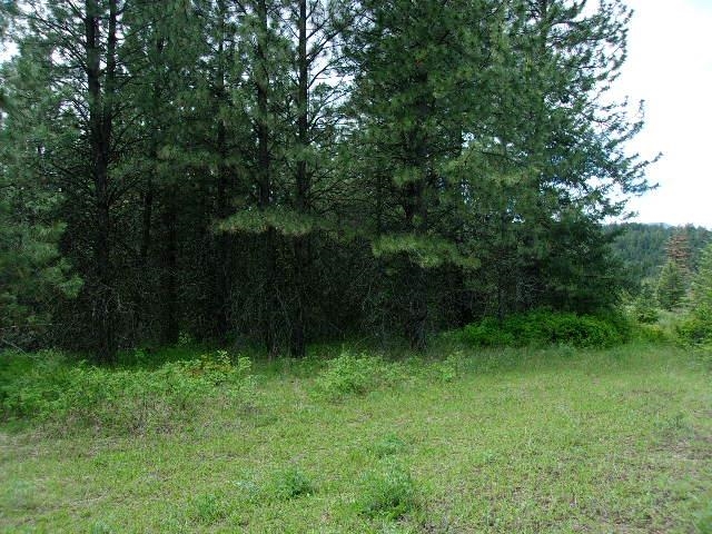 Xxxo Hoag Road Valley, WA 99181 - Photo 14 of 33