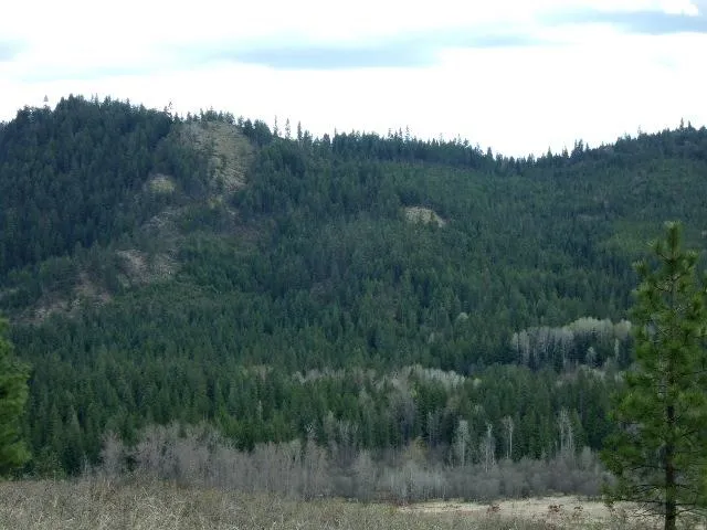 $299,000 | Xxxo Hoag Road, Valley, WA 99181