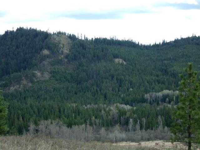 Xxxo Hoag Road Valley, WA 99181 - Photo 16 of 33