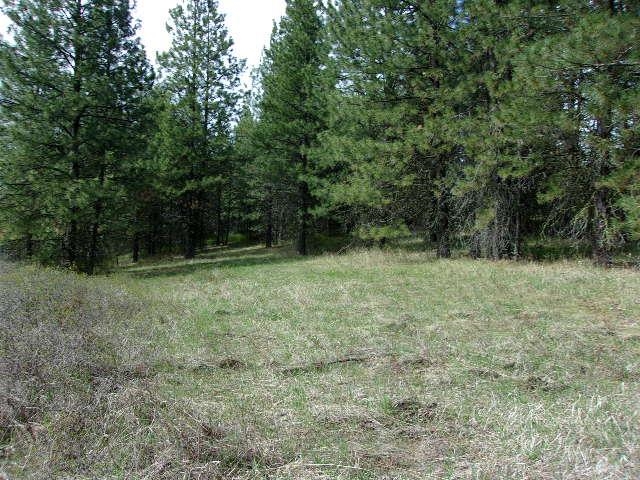 Xxxo Hoag Road Valley, WA 99181 - Photo 19 of 33