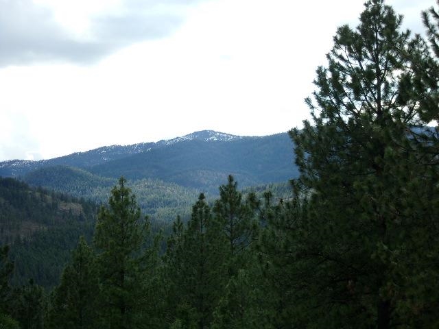 Xxxo Hoag Road Valley, WA 99181 - Photo 20 of 33