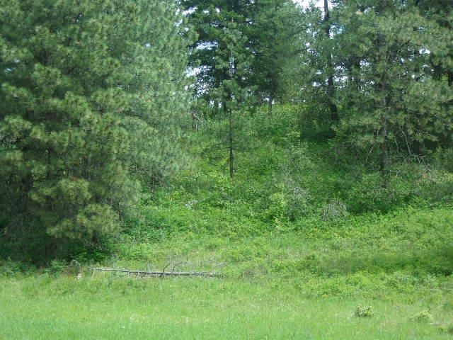 Xxxo Hoag Road Valley, WA 99181 - Photo 2 of 33