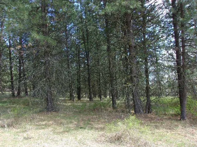 $299,000 | Xxxo Hoag Road, Valley, WA 99181