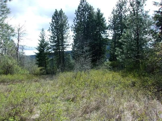 $299,000 | Xxxo Hoag Road, Valley, WA 99181