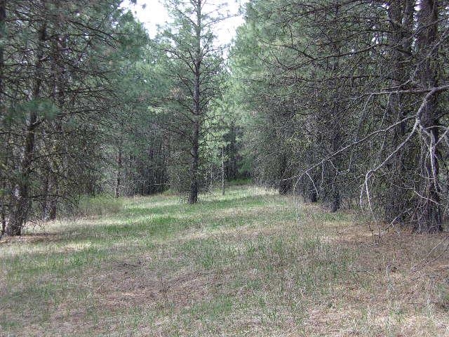 Xxxo Hoag Road Valley, WA 99181 - Photo 23 of 33