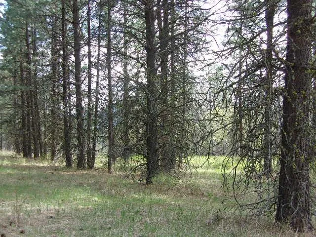 $299,000 | Xxxo Hoag Road, Valley, WA 99181