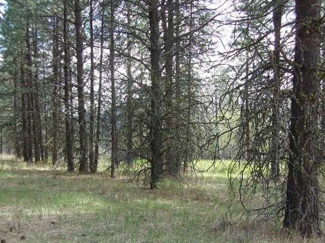 Xxxo Hoag Road Valley, WA 99181 - Photo 24 of 33