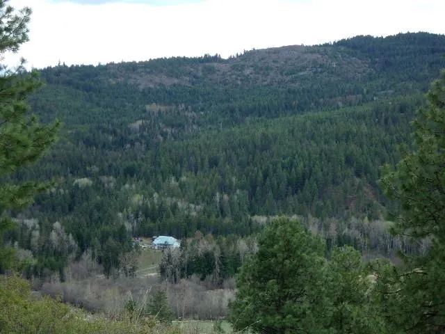 $299,000 | Xxxo Hoag Road, Valley, WA 99181