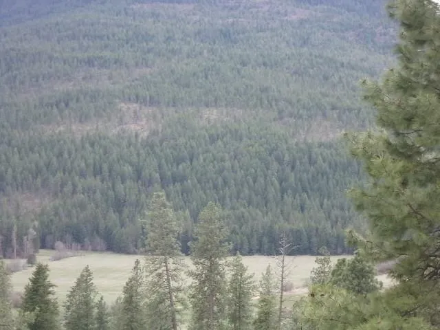 $299,000 | Xxxo Hoag Road, Valley, WA 99181