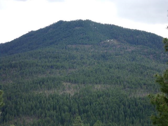 Xxxo Hoag Road Valley, WA 99181 - Photo 29 of 33