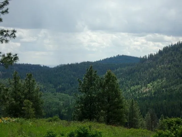 $299,000 | Xxxo Hoag Road, Valley, WA 99181