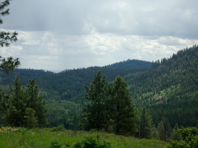 Xxxo Hoag Road Valley, WA 99181 - Photo 31 of 33