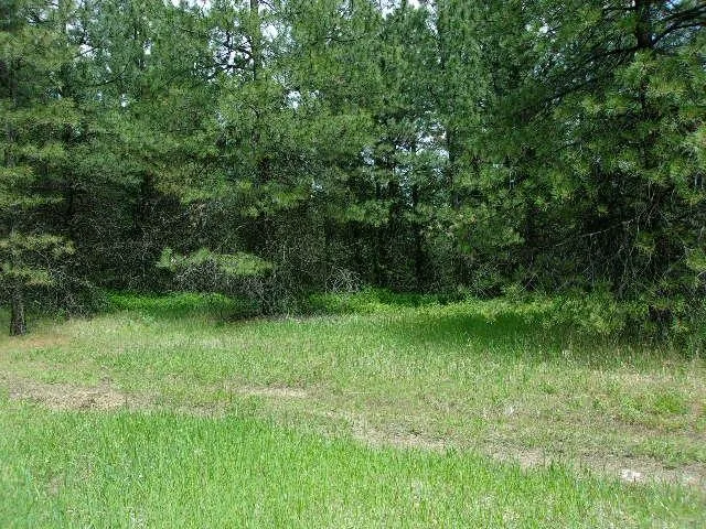 $299,000 | Xxxo Hoag Road, Valley, WA 99181