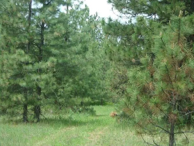 $299,000 | Xxxo Hoag Road, Valley, WA 99181