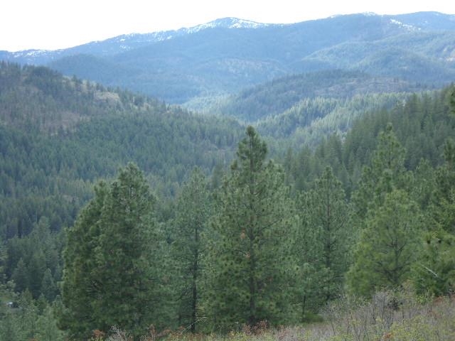 Xxxo Hoag Road Valley, WA 99181 - Photo 8 of 33