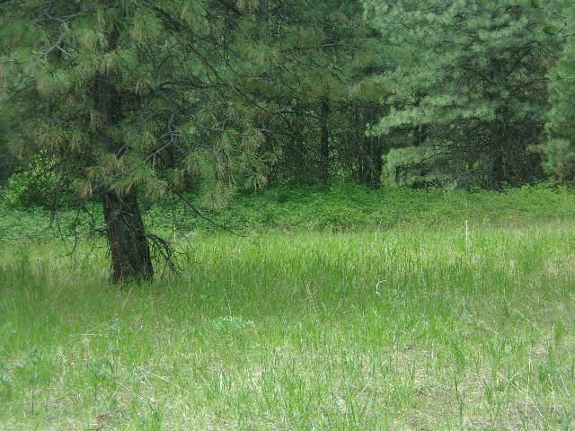 Xxxo Hoag Road Valley, WA 99181 - Photo 10 of 33