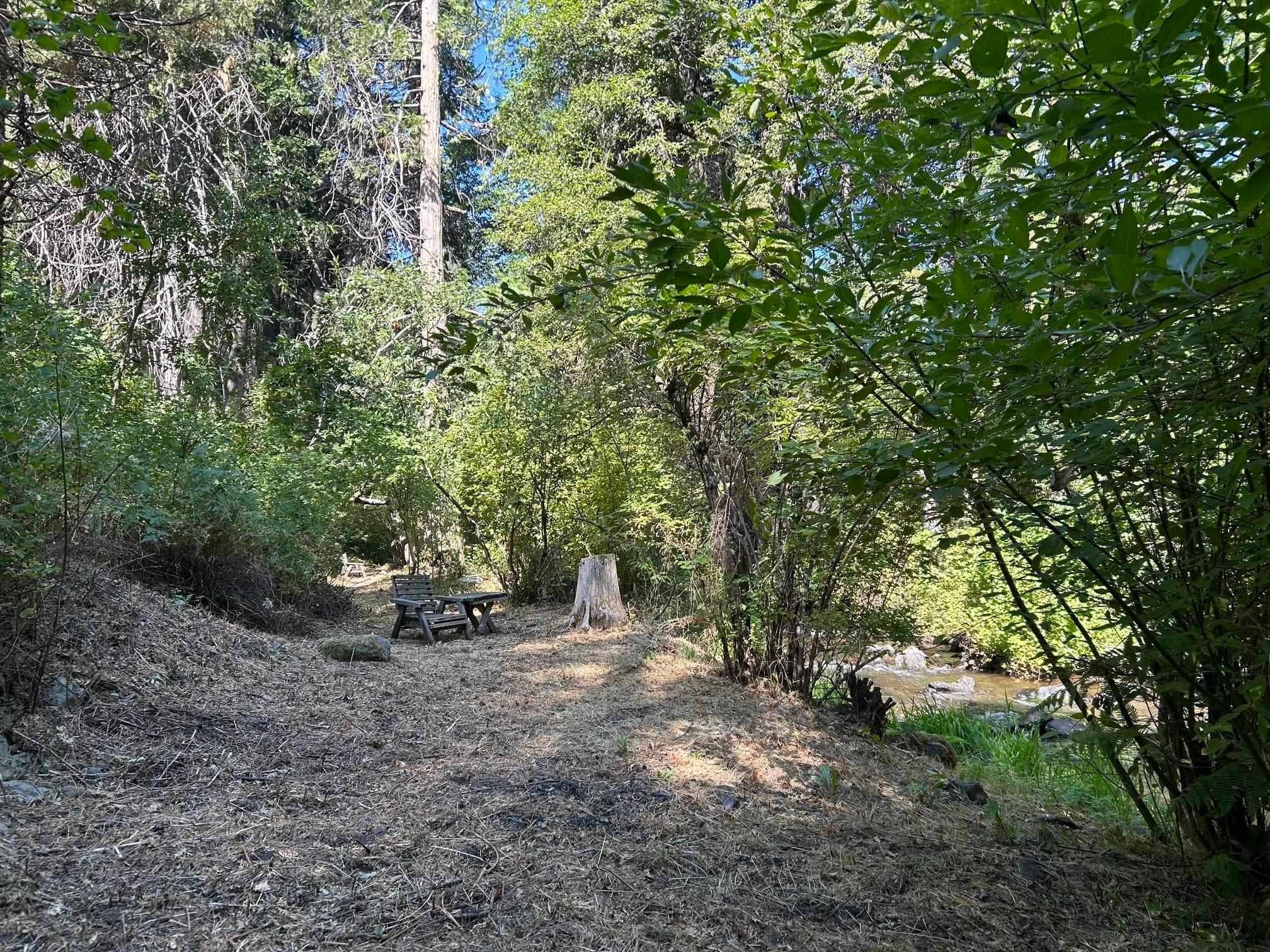 1404 South Shasta Ranch Road Mount Shasta, CA 96067 - Photo 2 of 48 Gallery Image 2
