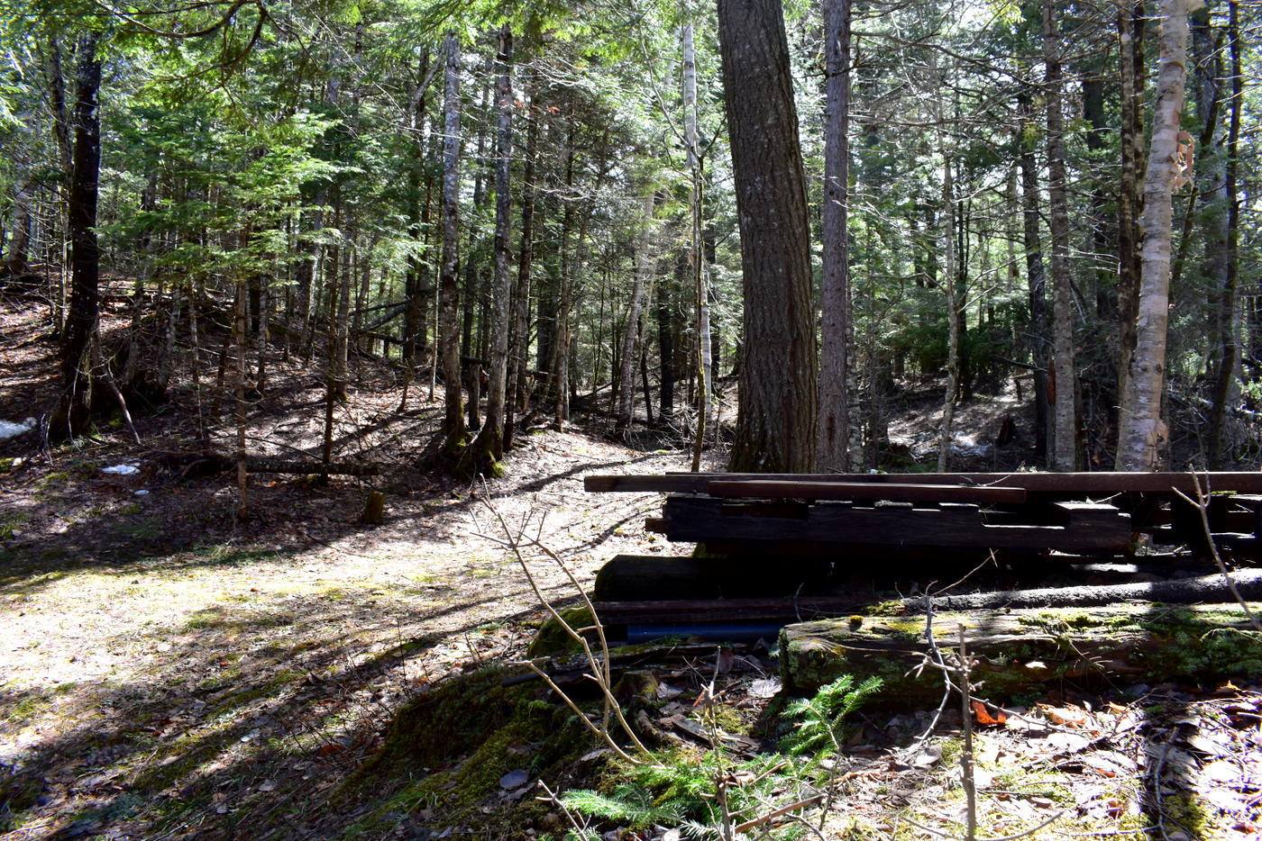 823 Grindstone Road East Millinocket, ME 04460 - Photo 32 of 41 DSC_1000