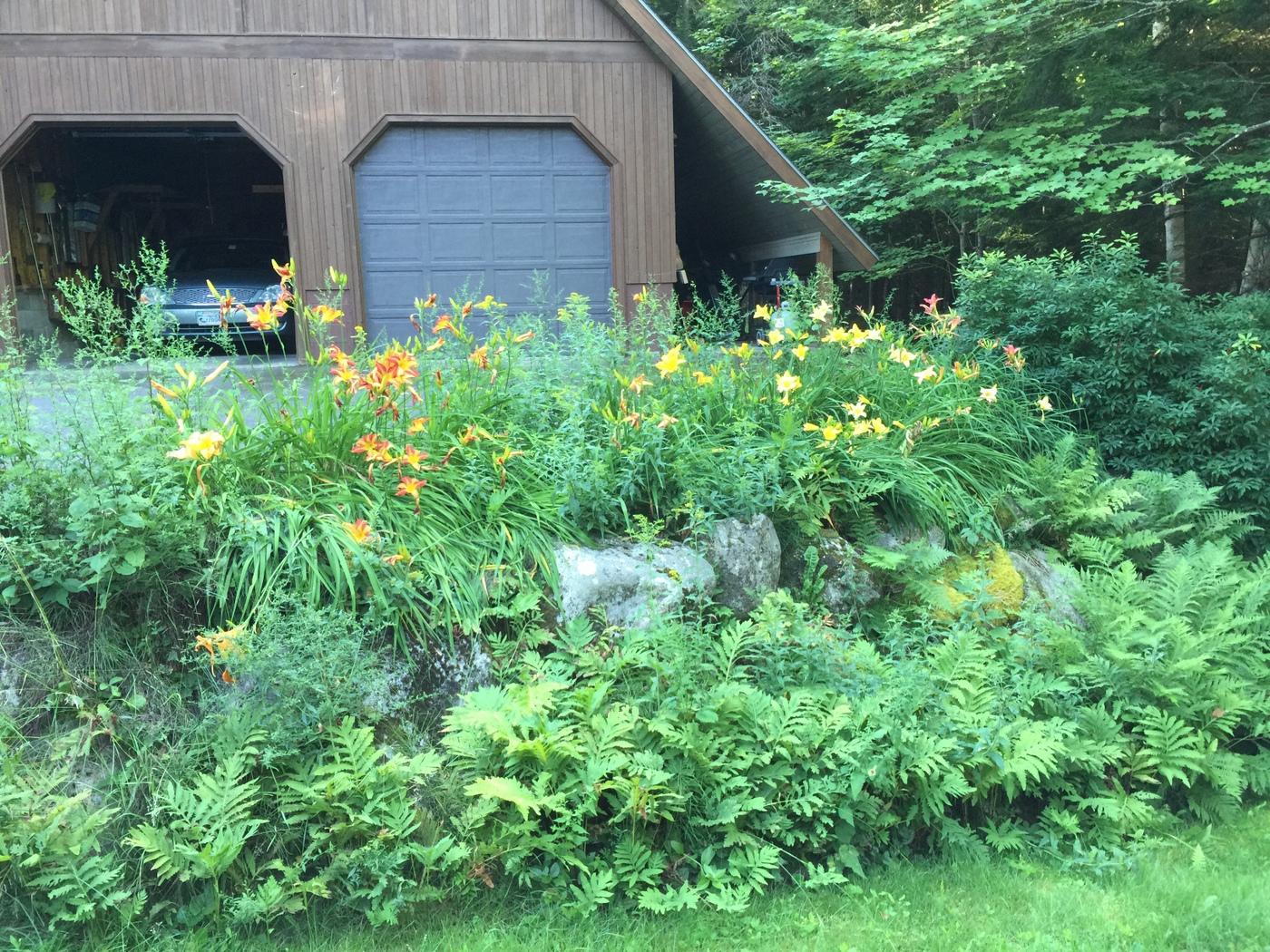 823 Grindstone Road East Millinocket, ME 04460 - Photo 33 of 41 Garage daylily garden