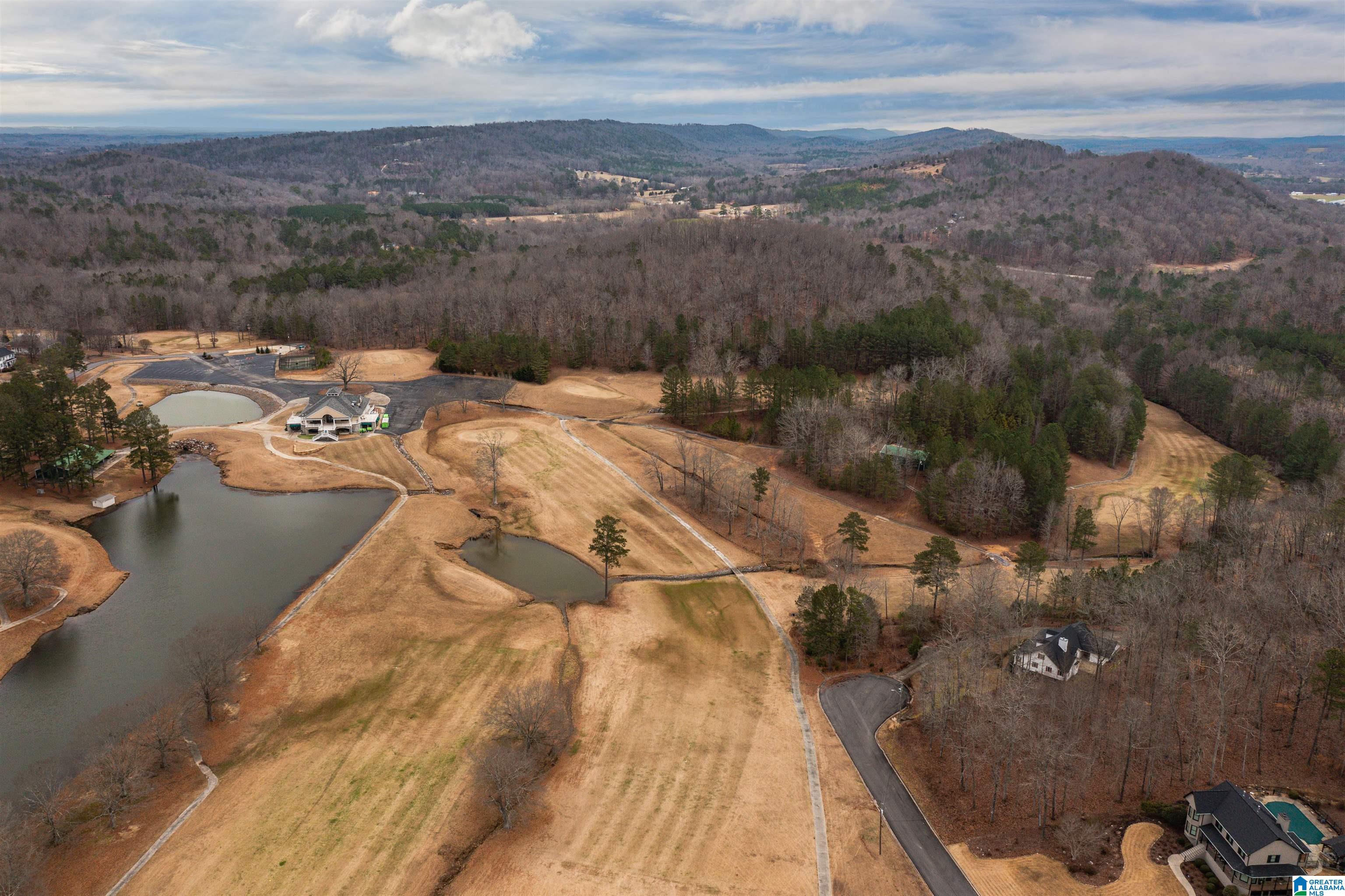 1 Heritage Road Oneonta, AL 35121 - Photo 69 of 74