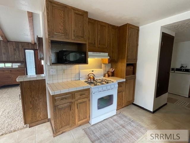 14 Elk Rdg Lane North Fork, ID 83466 - Photo 5 of 64