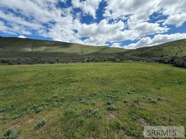 $695,000 | 14 Elk Rdg Lane, North Fork, ID 83466