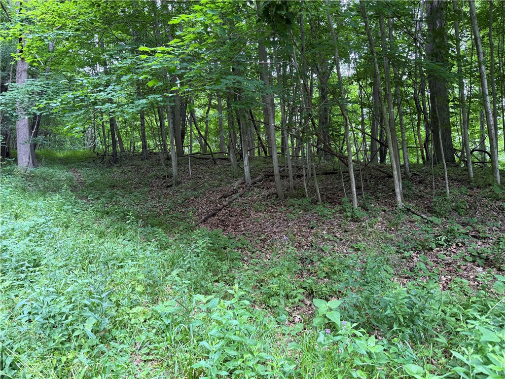 1592 Emerson Road Potter, NY 14507 - Photo 4 of 25