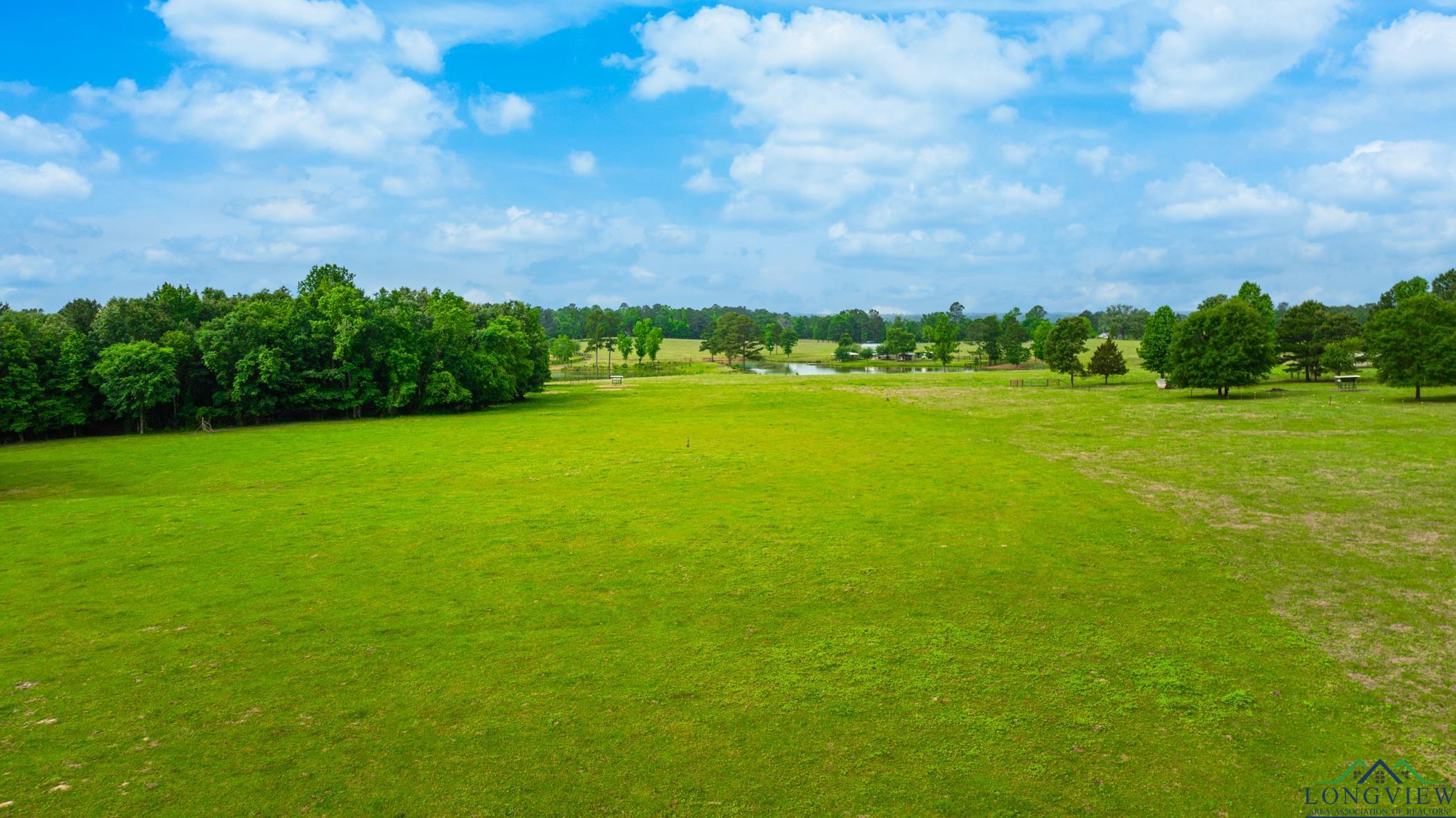 1117 Jonquil Road Gilmer, TX 75645 - Photo 4 of 36 Gallery Image 4