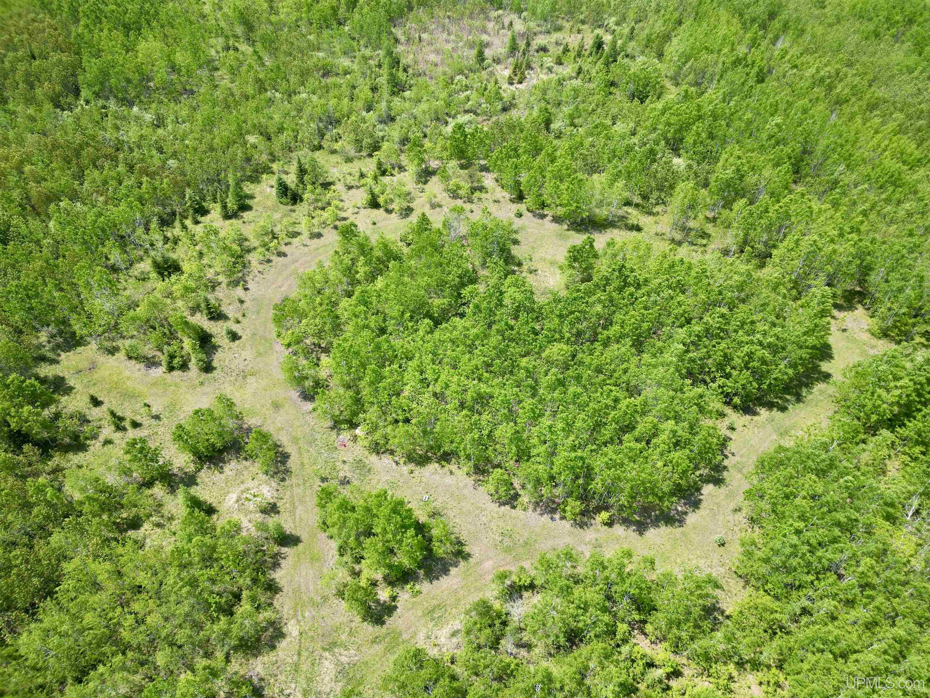 400 Rd Perronville Mi 49807 Road Bark River, MI 49807 - Photo 4 of 30