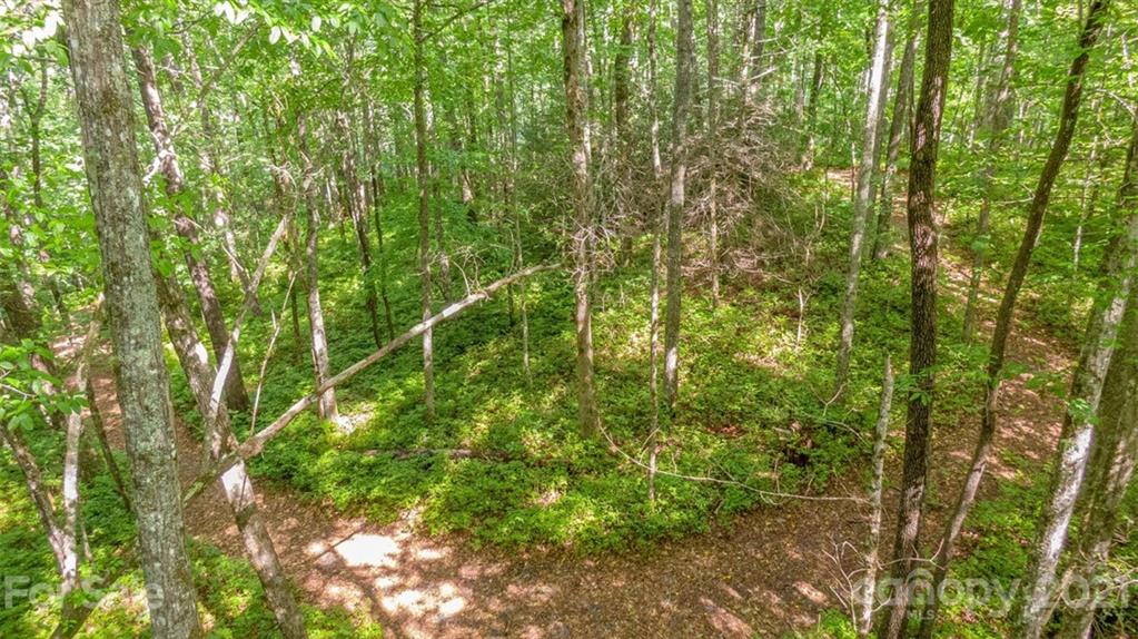 Tbd Big Branch Road, Unit L56A Brevard, NC 28712 - Photo 9 of 16 Gallery Image 9