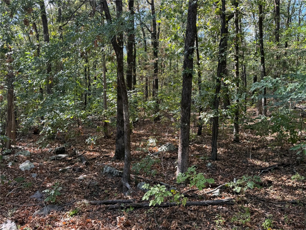 15901 Peaceful Home Road Natural Dam, AR 72948 - Photo 31 of 32 Gallery Image 31