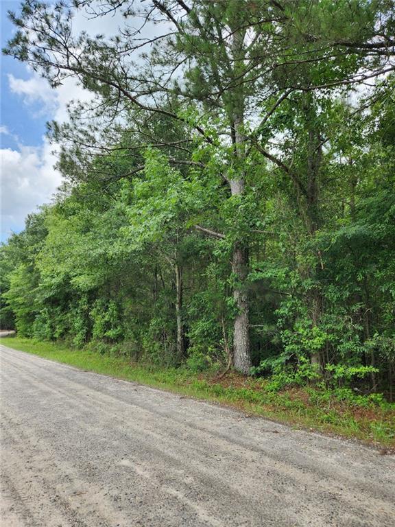 0 Barton Bridge Road Monroe, GA 30655 - Photo 2 of 5
