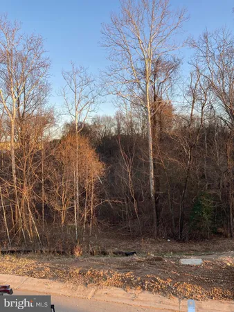 $2,975 | 277 Willis Street, Fredericksburg, VA 22401