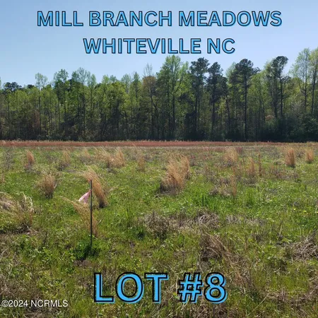 $44,800 | 97 Mill Branch Drive, Whiteville, NC 28472
