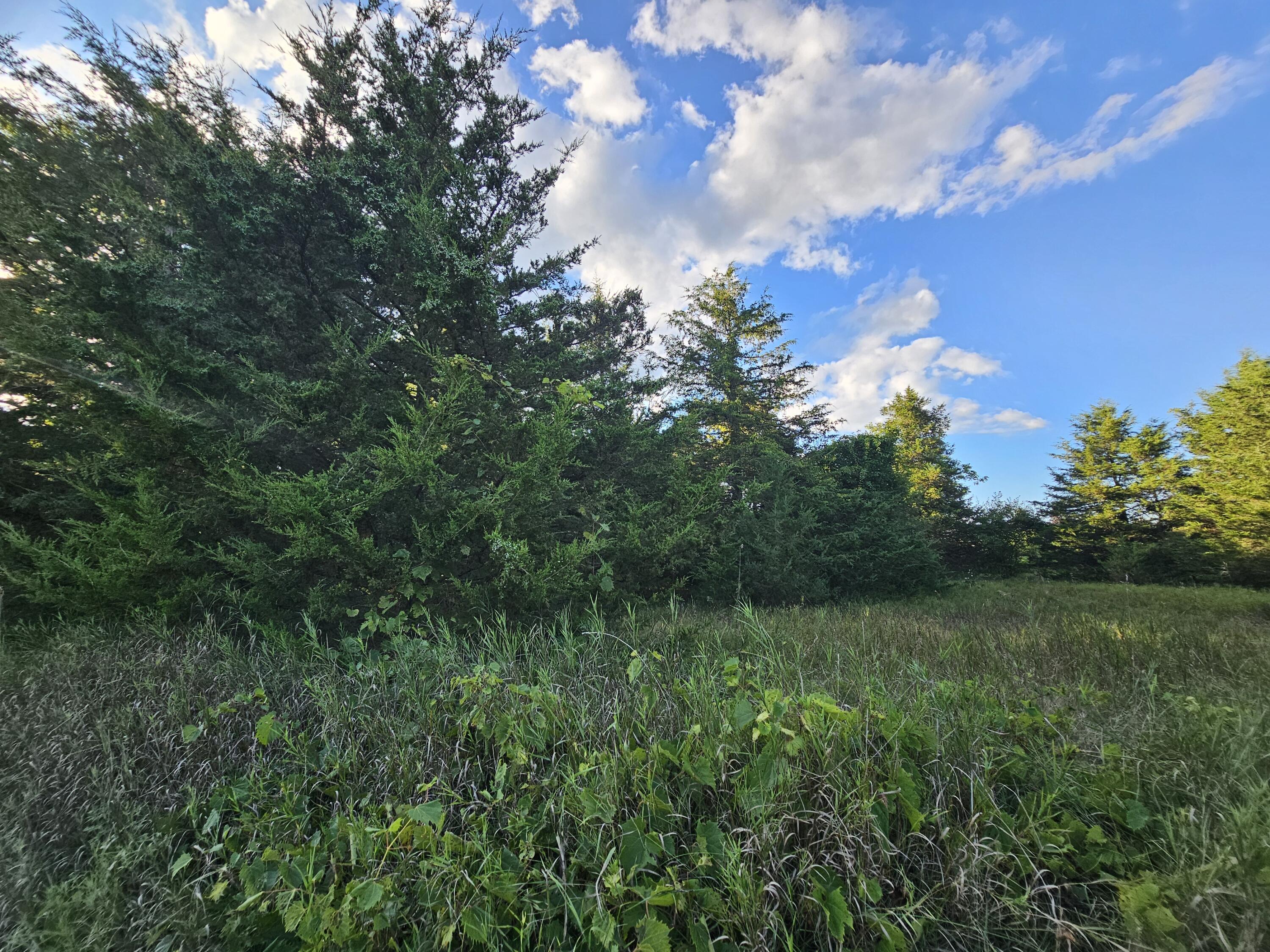 6420 Kelley Road Brooklyn, MI 49230 - Photo 21 of 24 1000041529
