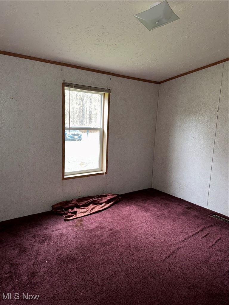 3690 Anderson Anthony Road Leavittsburg, OH 44430 - Photo 13 of 18 Carpeted spare room featuring ornamental molding and a textured ceiling