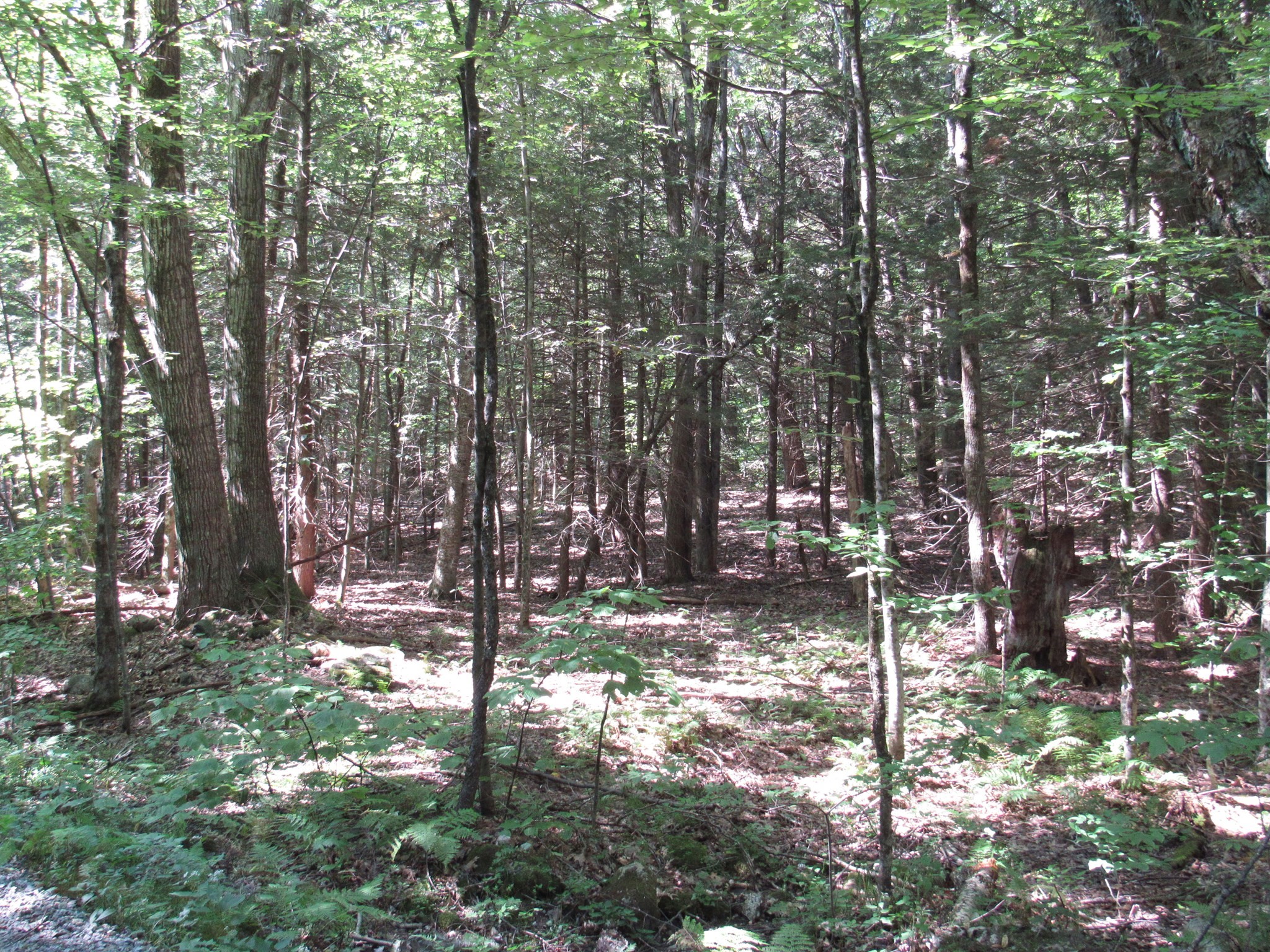 6 Round Hill Road Chester, MA 01011 - Photo 1 of 5 Gallery Image 1