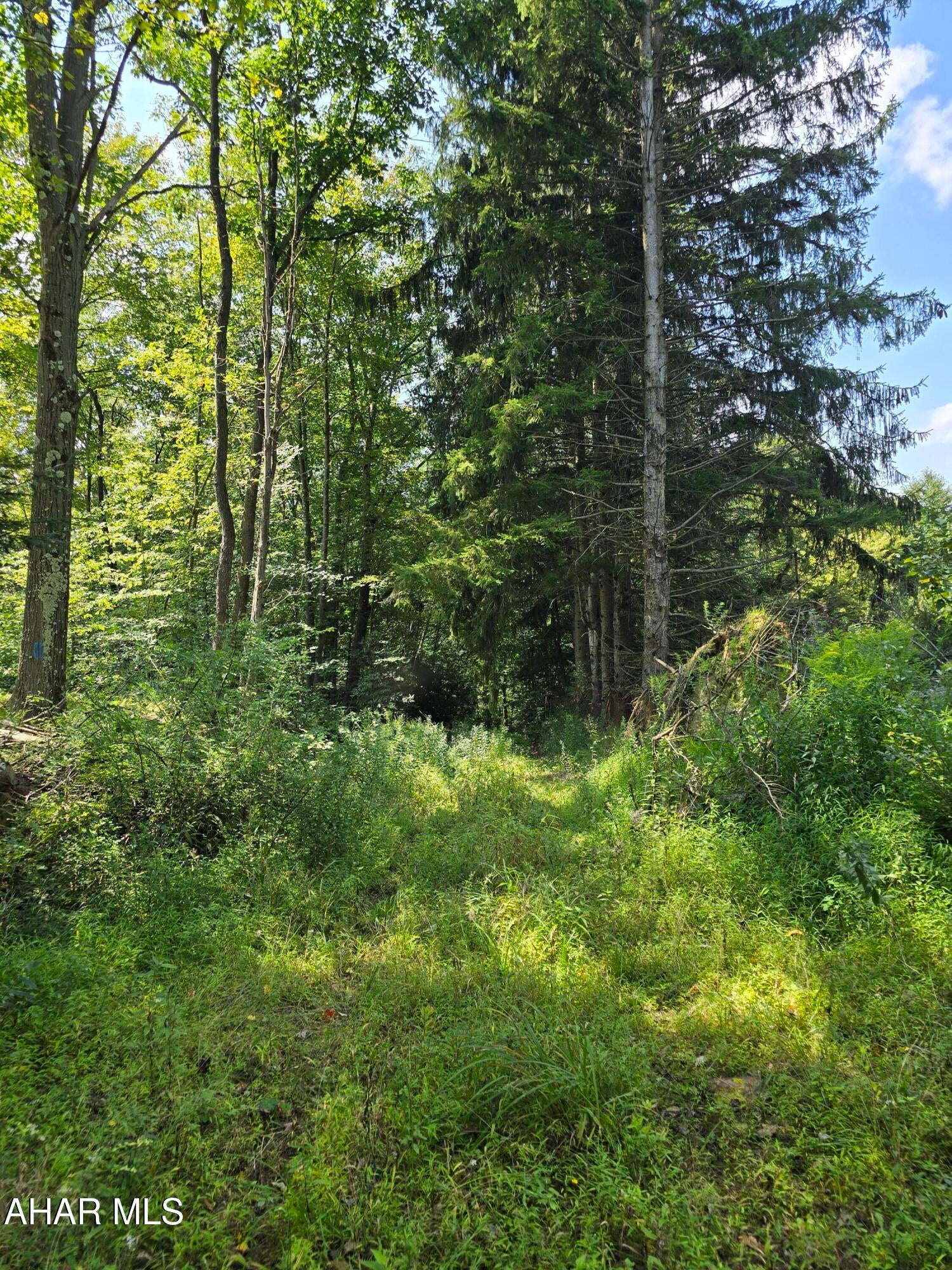 0 Strawberry Road Lilly, PA 15938 - Photo 8 of 17 Gallery Image 8