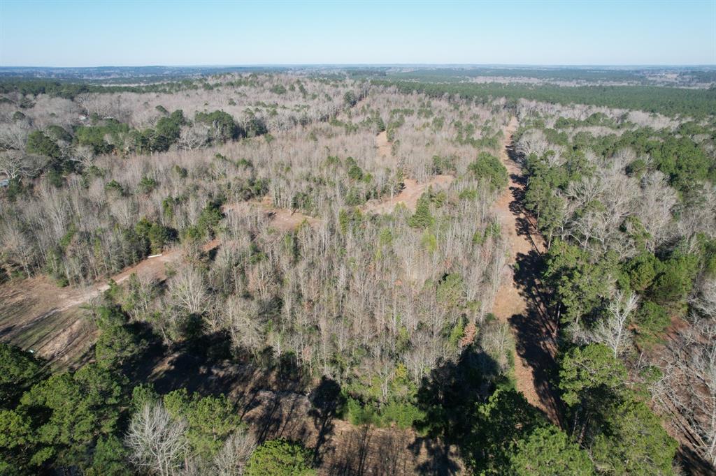 a view of a forest with an outdoor space