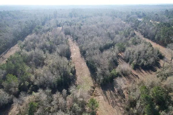 a view of a dry yard