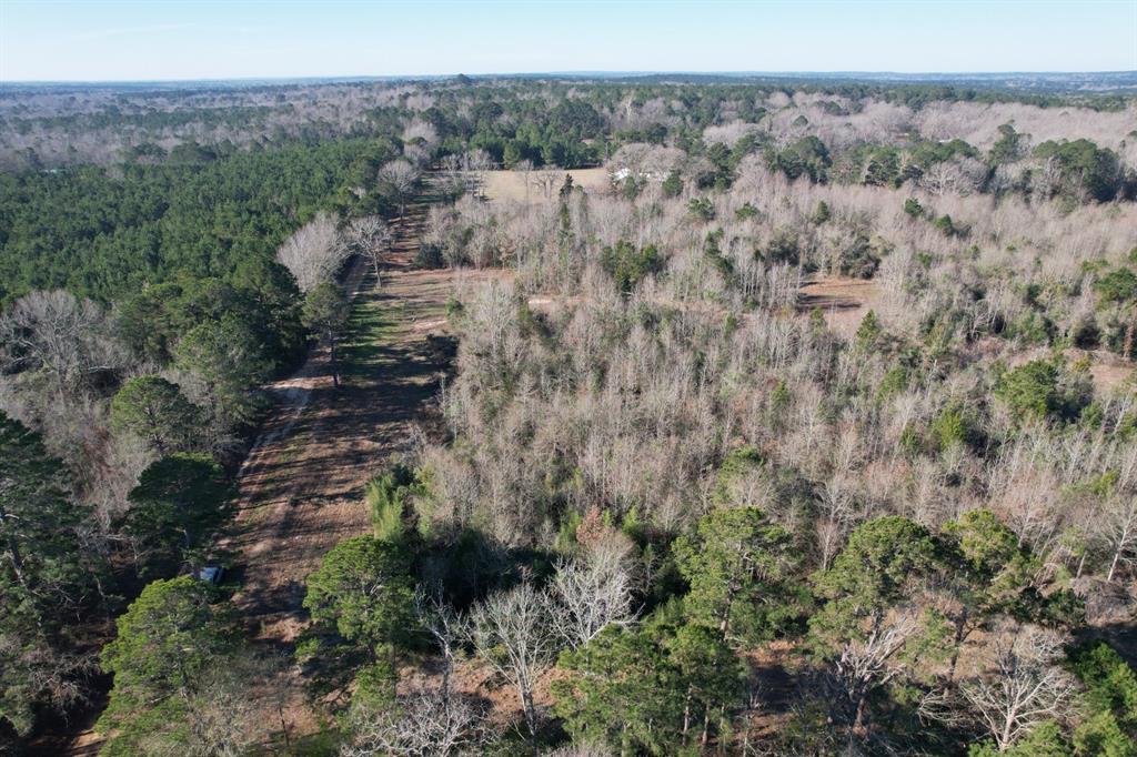 4919 County Road 4919 Timpson, TX 75975 - Photo 7 of 8 a view of a lots of trees and bushes